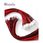Eteily Custom Cable Assembly 2.54mm Pitch 2/3/4/5/6 Pin Connector Electric Wire & Female Plug Jst Sh Zh Ph Xh Custom Cable Eteily Custom Cable Assembly 2.54mm Pitch 2/3/4/5/6 Pin Connector Electric Wire & Female Plug Jst Sh Zh Ph Xh Custom Cable