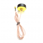 GSM-4G 5dBi Screw Mount Antenna with RG316 Cable (L - 1MTR) + SMA (M) St. Connector GSM-4G 5dBi Screw Mount Antenna with RG316 Cable (L - 1MTR) + SMA (M) St. Connector